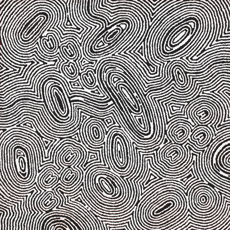 Aboriginal Artwork by Janelle Napurrurla Wilson, Janganpa Jukurrpa (Brush-tail Possum Dreaming) - Mawurrji, 61x61cm
