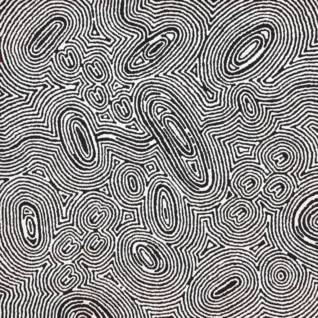 Aboriginal Artwork by Janelle Napurrurla Wilson, Janganpa Jukurrpa (Brush-tail Possum Dreaming) - Mawurrji, 61x61cm - ART ARK®