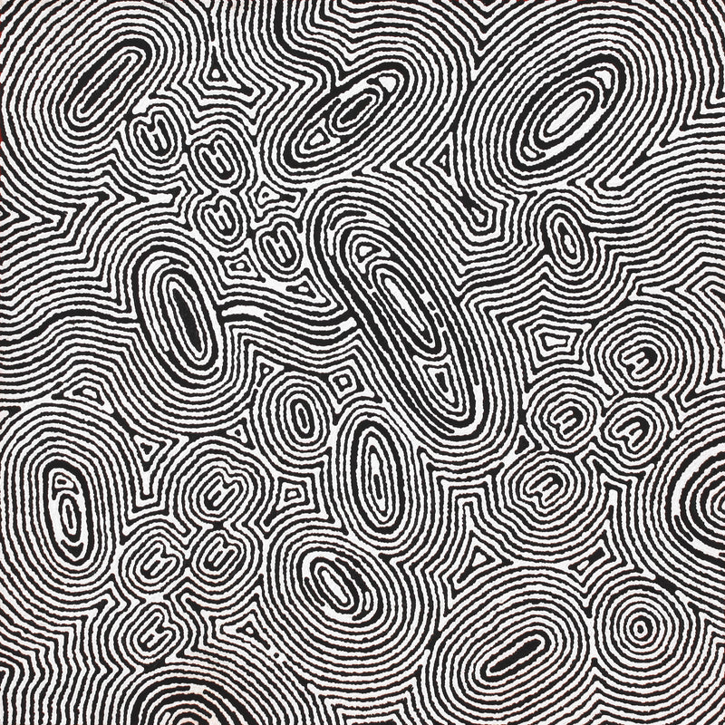 Aboriginal Artwork by Janelle Napurrurla Wilson, Janganpa Jukurrpa (Brush-tail Possum Dreaming) - Mawurrji, 61x61cm