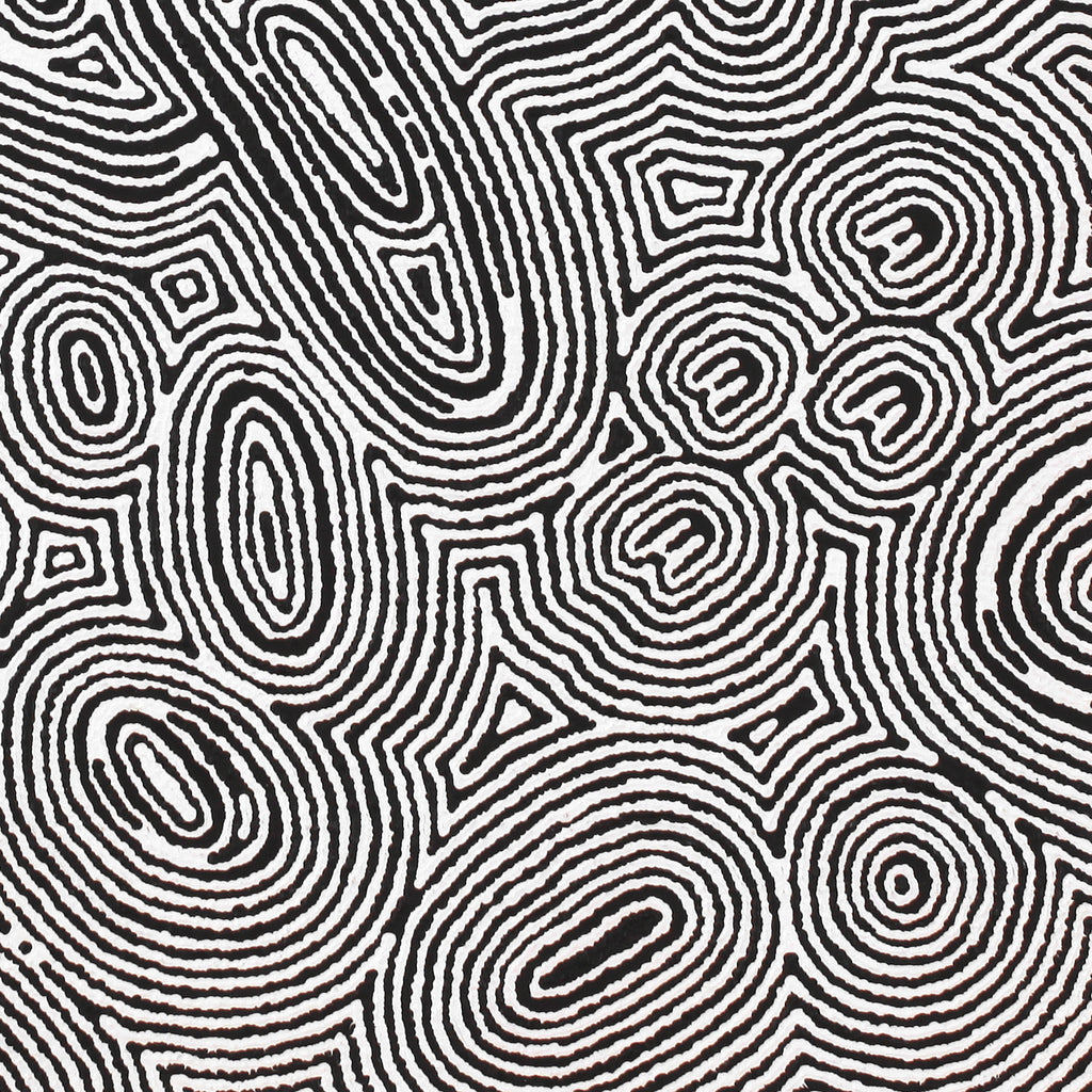 Aboriginal Artwork by Janelle Napurrurla Wilson, Janganpa Jukurrpa (Brush-tail Possum Dreaming) - Mawurrji, 61x61cm