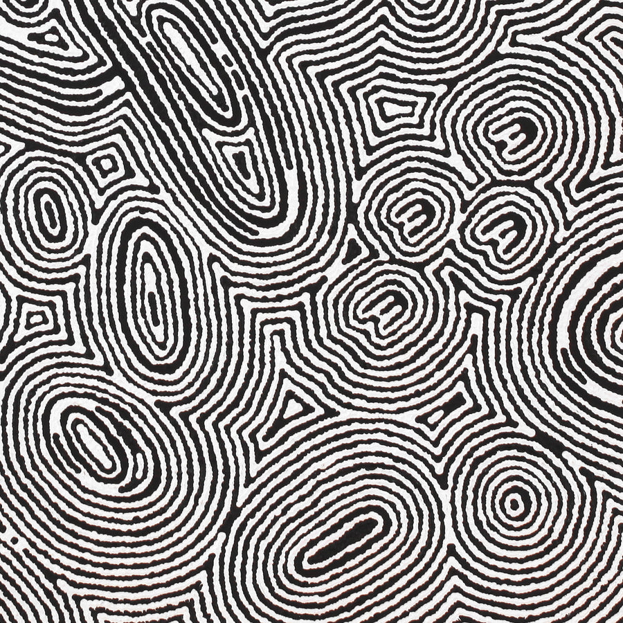 Aboriginal Artwork by Janelle Napurrurla Wilson, Janganpa Jukurrpa (Brush-tail Possum Dreaming) - Mawurrji, 61x61cm