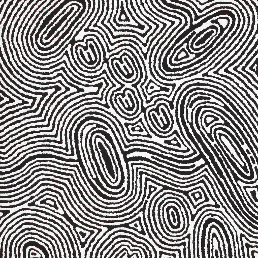 Aboriginal Artwork by Janelle Napurrurla Wilson, Janganpa Jukurrpa (Brush-tail Possum Dreaming) - Mawurrji, 61x61cm
