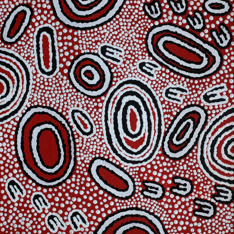 Aboriginal Artwork by Janelle Napurrurla Wilson, Janganpa Jukurrpa, 30x30cm