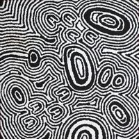 Aboriginal Artwork by Janelle Napurrurla Wilson, Janganpa Jukurrpa (Brush-tail Possum Dreaming) - Mawurrji, 30x30cm