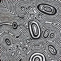 Aboriginal Art by Janelle Napurrurla Wilson, Janganpa Jukurrpa (Brush-tail Possum Dreaming) - Mawurrji, 30x30cm - ART ARK®