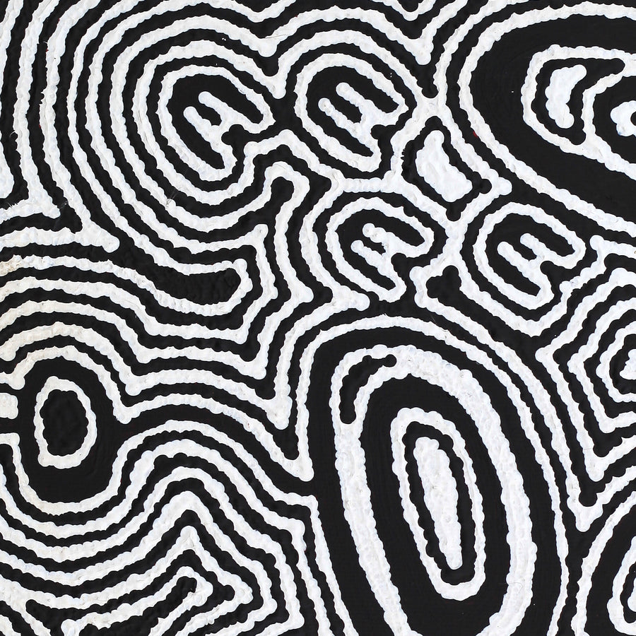 Aboriginal Artwork by Janelle Napurrurla Wilson, Janganpa Jukurrpa (Brush-tail Possum Dreaming) - Mawurrji, 30x30cm