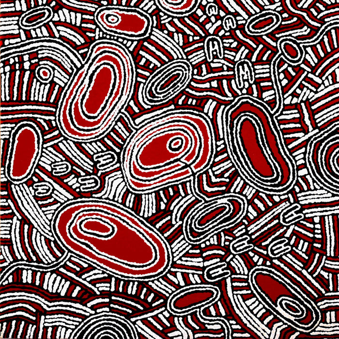 Aboriginal Art by Janelle Napurrurla Wilson, Janganpa Jukurrpa (Brush-tail Possum Dreaming)-  Mawurrji, 61x61cm - ART ARK®