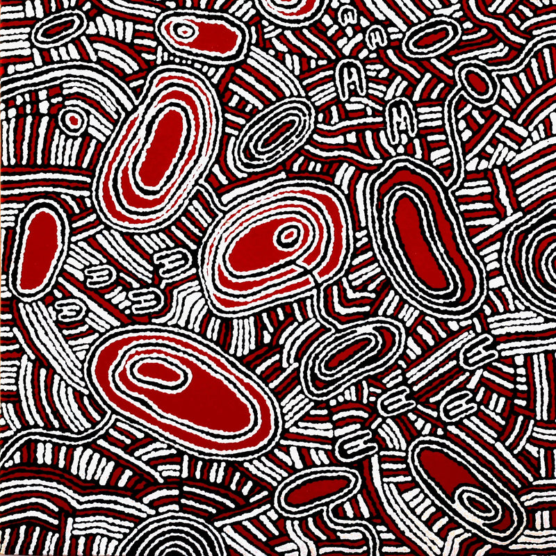 Aboriginal Artwork by Janelle Napurrurla Wilson, Janganpa Jukurrpa (Brush-tail Possum Dreaming)- Mawurrji, 61x61cm