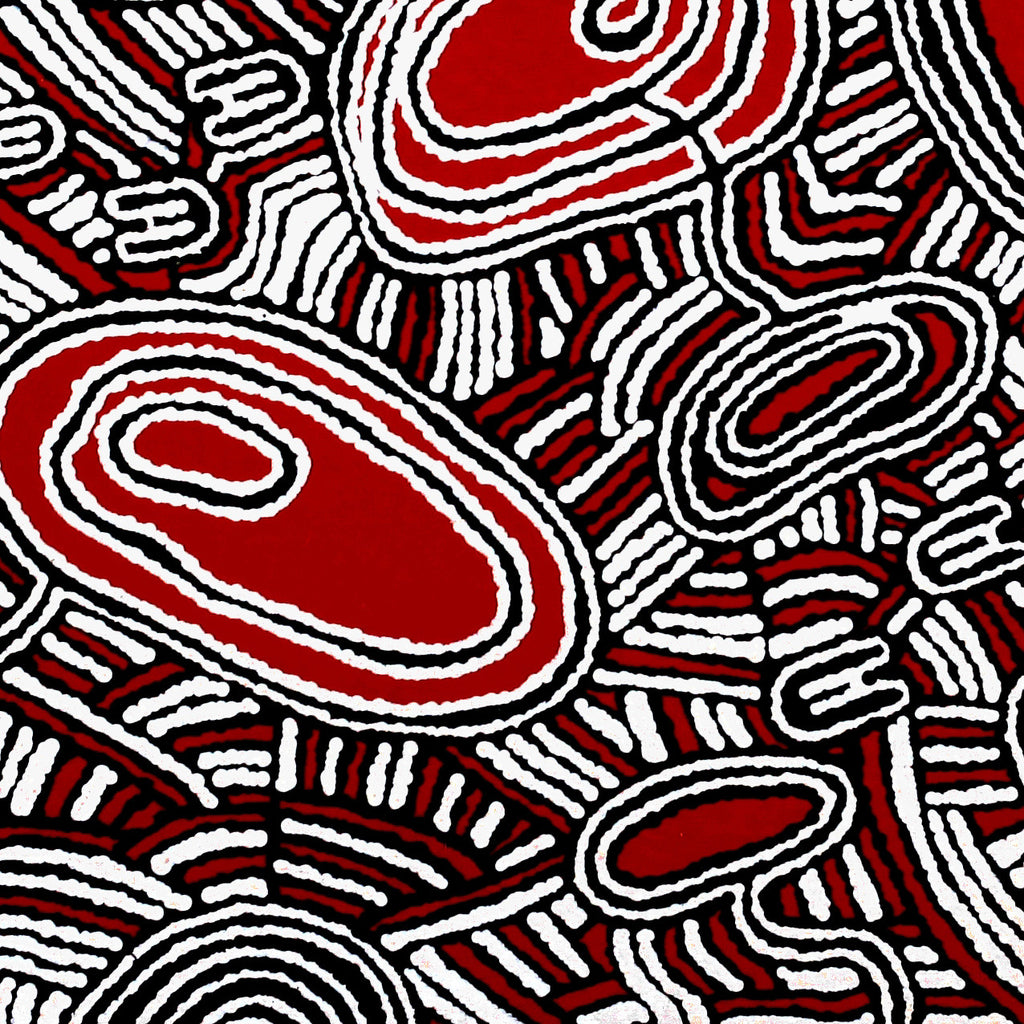 Aboriginal Art by Janelle Napurrurla Wilson, Janganpa Jukurrpa (Brush-tail Possum Dreaming)-  Mawurrji, 61x61cm - ART ARK®