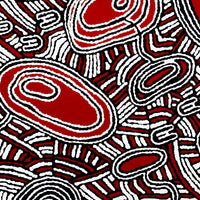 Aboriginal Art by Janelle Napurrurla Wilson, Janganpa Jukurrpa (Brush-tail Possum Dreaming)-  Mawurrji, 61x61cm - ART ARK®