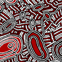 Aboriginal Art by Janelle Napurrurla Wilson, Janganpa Jukurrpa (Brush-tail Possum Dreaming)-  Mawurrji, 61x61cm - ART ARK®