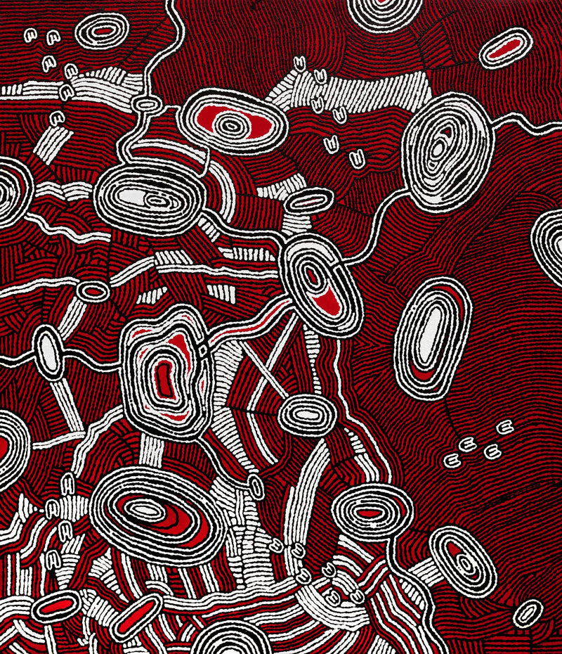 Aboriginal Artwork by Janelle Napurrurla Wilson, Janganpa Jukurrpa (Brush-tail Possum Dreaming)- Mawurrji, 107x91cm