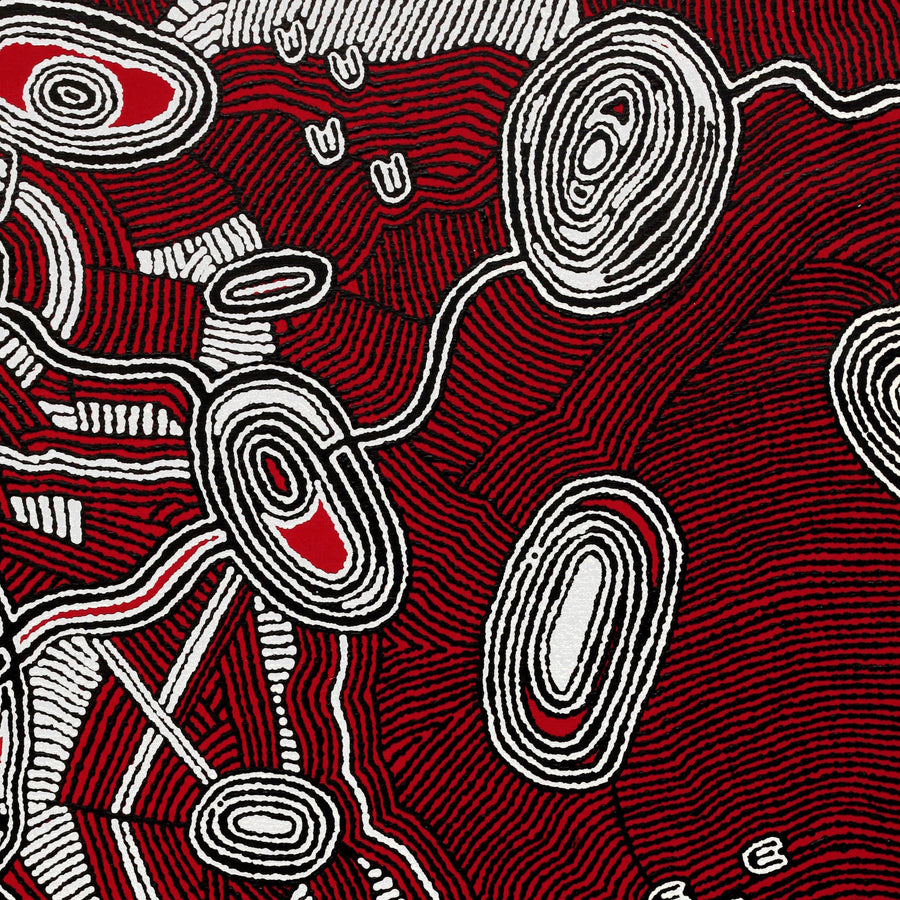 Aboriginal Artwork by Janelle Napurrurla Wilson, Janganpa Jukurrpa (Brush-tail Possum Dreaming)- Mawurrji, 107x91cm
