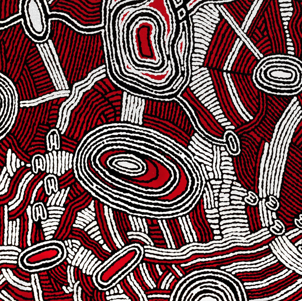 Aboriginal Artwork by Janelle Napurrurla Wilson, Janganpa Jukurrpa (Brush-tail Possum Dreaming)- Mawurrji, 107x91cm