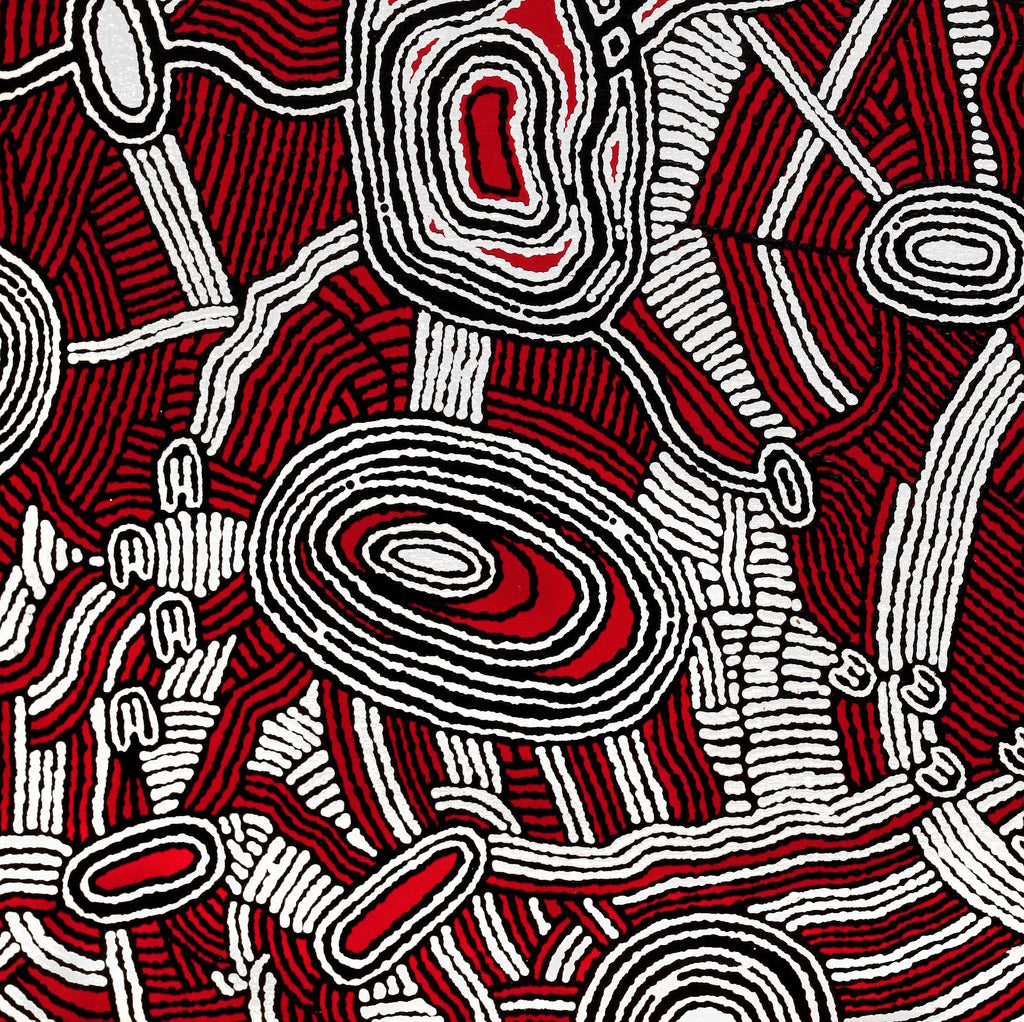 Aboriginal Artwork by Janelle Napurrurla Wilson, Janganpa Jukurrpa (Brush-tail Possum Dreaming)- Mawurrji, 107x91cm - ART ARK®