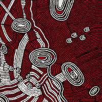 Aboriginal Artwork by Janelle Napurrurla Wilson, Janganpa Jukurrpa (Brush-tail Possum Dreaming)- Mawurrji, 107x91cm