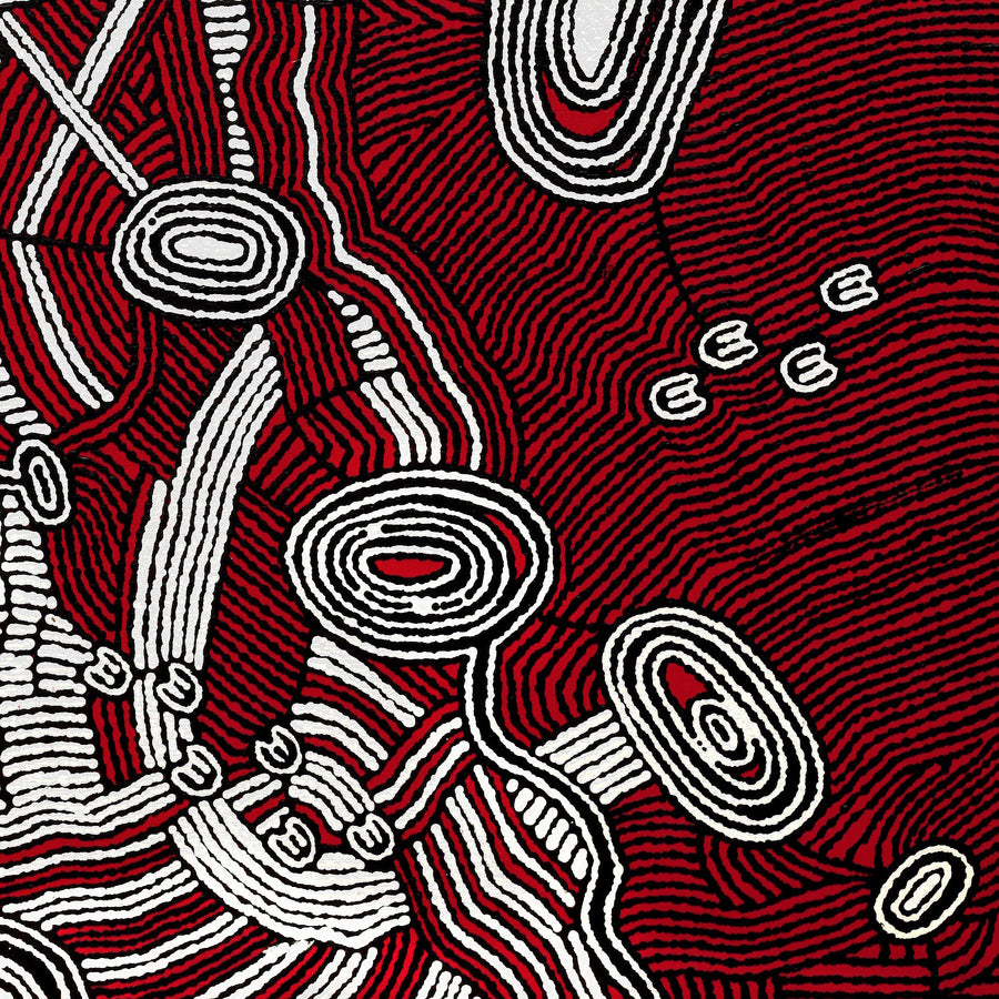 Aboriginal Artwork by Janelle Napurrurla Wilson, Janganpa Jukurrpa (Brush-tail Possum Dreaming)- Mawurrji, 107x91cm