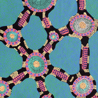 Aboriginal Artwork by Janet Napaljarri Herbert, Lukarrara Jukurrpa, 122x61cm