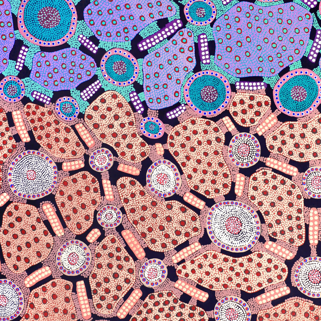 Aboriginal Artwork by Janet Napaljarri Herbert, Lukarrara Jukurrpa, 183x107cm