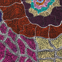 Aboriginal Artwork by Janie Napangardi Williams, Ngarlkirdi Jukurrpa (Witchetty Grub Dreaming), 107x91cm