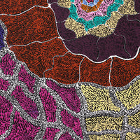 Aboriginal Art by Janie Napangardi Williams, Ngarlkirdi Jukurrpa (Witchetty Grub Dreaming), 107x91cm - ART ARK®