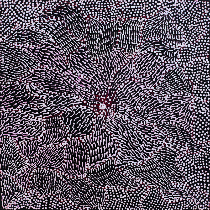 Aboriginal Artwork by Janie Napangardi Williams, Ngarlkirdi Jukurrpa (Witchetty Grub Dreaming), 30x30cm