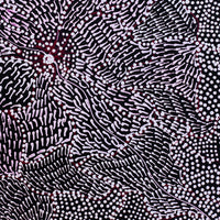 Aboriginal Artwork by Janie Napangardi Williams, Ngarlkirdi Jukurrpa (Witchetty Grub Dreaming), 30x30cm