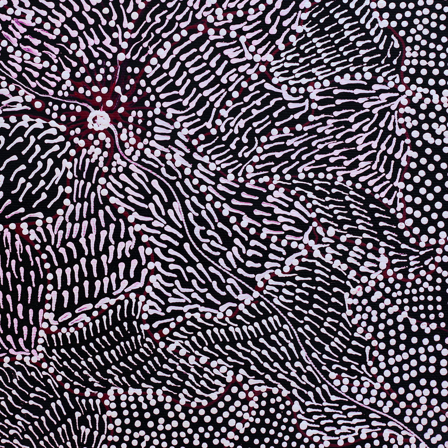 Aboriginal Artwork by Janie Napangardi Williams, Ngarlkirdi Jukurrpa (Witchetty Grub Dreaming), 30x30cm