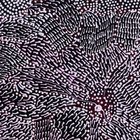 Aboriginal Artwork by Janie Napangardi Williams, Ngarlkirdi Jukurrpa (Witchetty Grub Dreaming), 30x30cm
