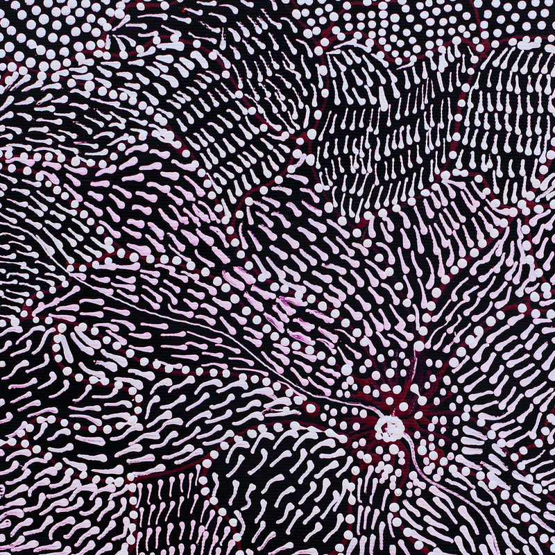 Aboriginal Artwork by Janie Napangardi Williams, Ngarlkirdi Jukurrpa (Witchetty Grub Dreaming), 30x30cm