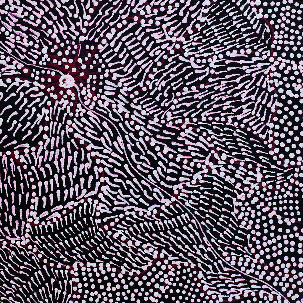 Aboriginal Artwork by Janie Napangardi Williams, Ngarlkirdi Jukurrpa (Witchetty Grub Dreaming), 30x30cm - ART ARK®