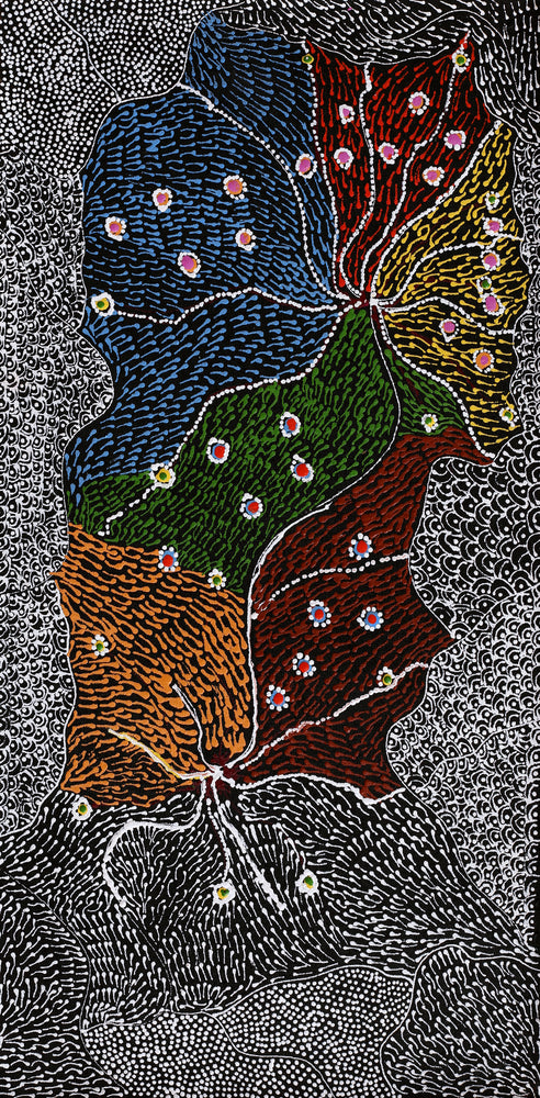 Aboriginal Artwork by Janie Napangardi Williams, Watiya-warnu Jukurrpa (Seed Dreaming), 61x30cm