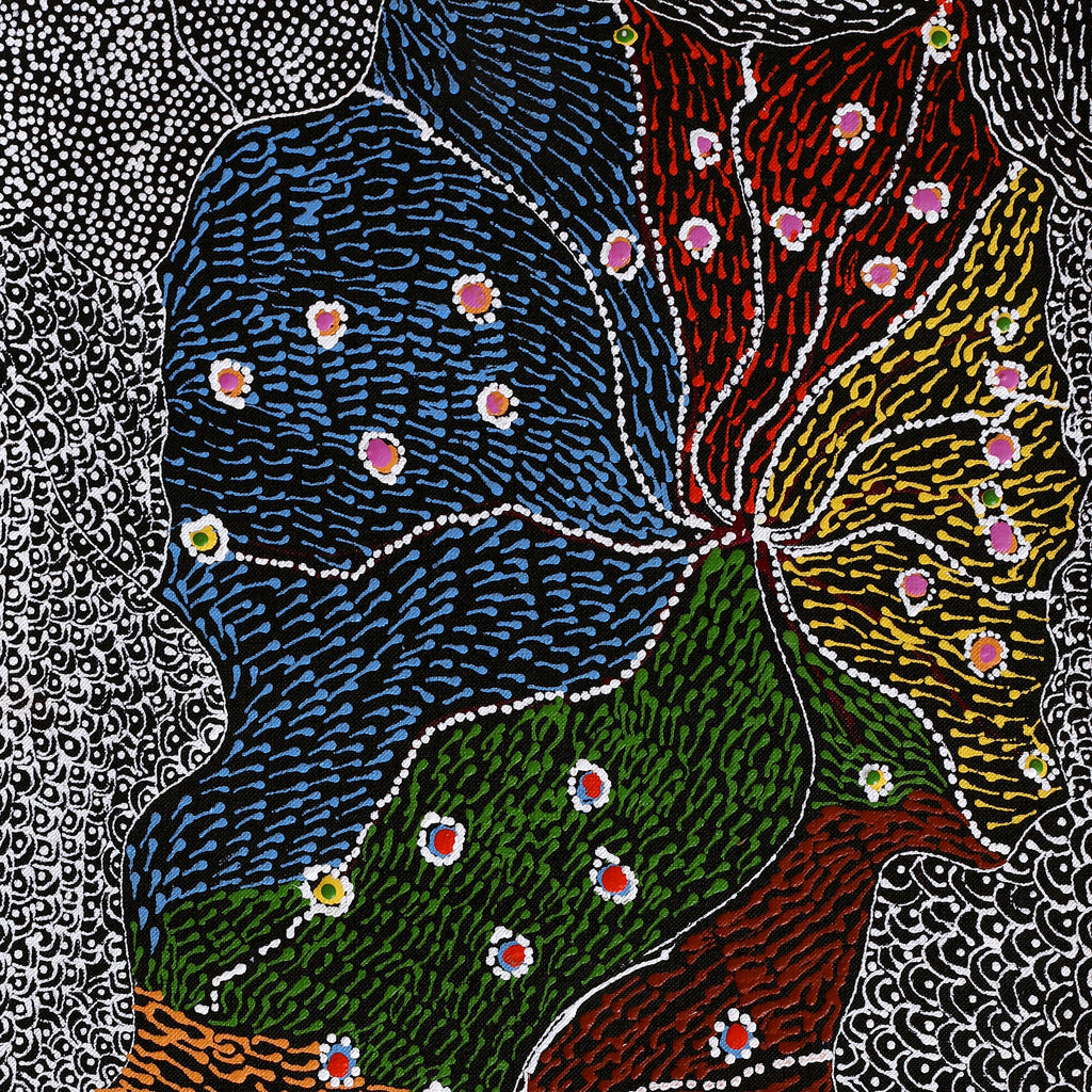 Aboriginal Artwork by Janie Napangardi Williams, Watiya-warnu Jukurrpa (Seed Dreaming), 61x30cm