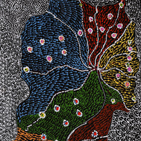 Aboriginal Artwork by Janie Napangardi Williams, Watiya-warnu Jukurrpa (Seed Dreaming), 61x30cm
