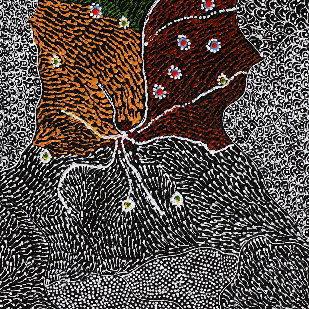 Aboriginal Artwork by Janie Napangardi Williams, Watiya-warnu Jukurrpa (Seed Dreaming), 61x30cm