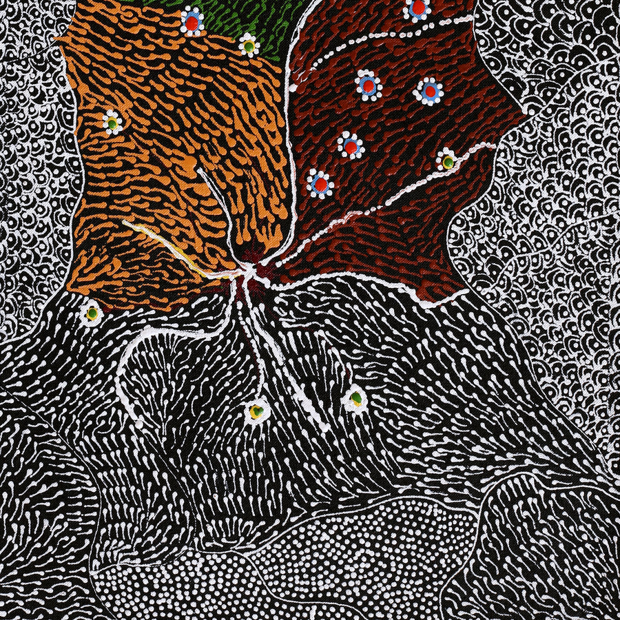 Aboriginal Artwork by Janie Napangardi Williams, Watiya-warnu Jukurrpa (Seed Dreaming), 61x30cm