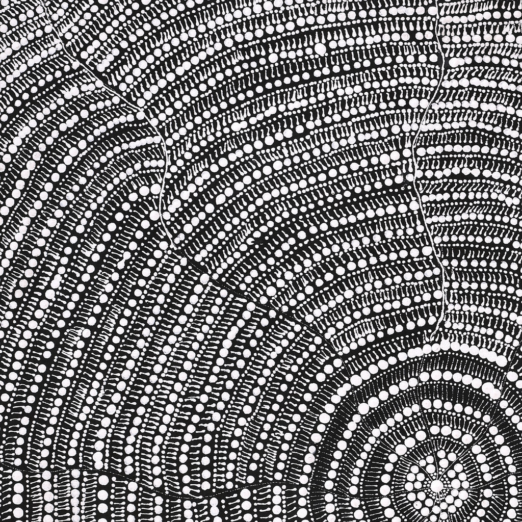 Aboriginal Artwork by Janie Napangardi Williams, Ngarlkirdi Jukurrpa (Witchetty Grub Dreaming), 76x61cm