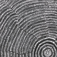 Aboriginal Artwork by Janie Napangardi Williams, Ngarlkirdi Jukurrpa (Witchetty Grub Dreaming), 76x61cm