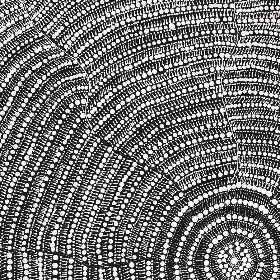 Aboriginal Artwork by Janie Napangardi Williams, Ngarlkirdi Jukurrpa (Witchetty Grub Dreaming), 76x61cm