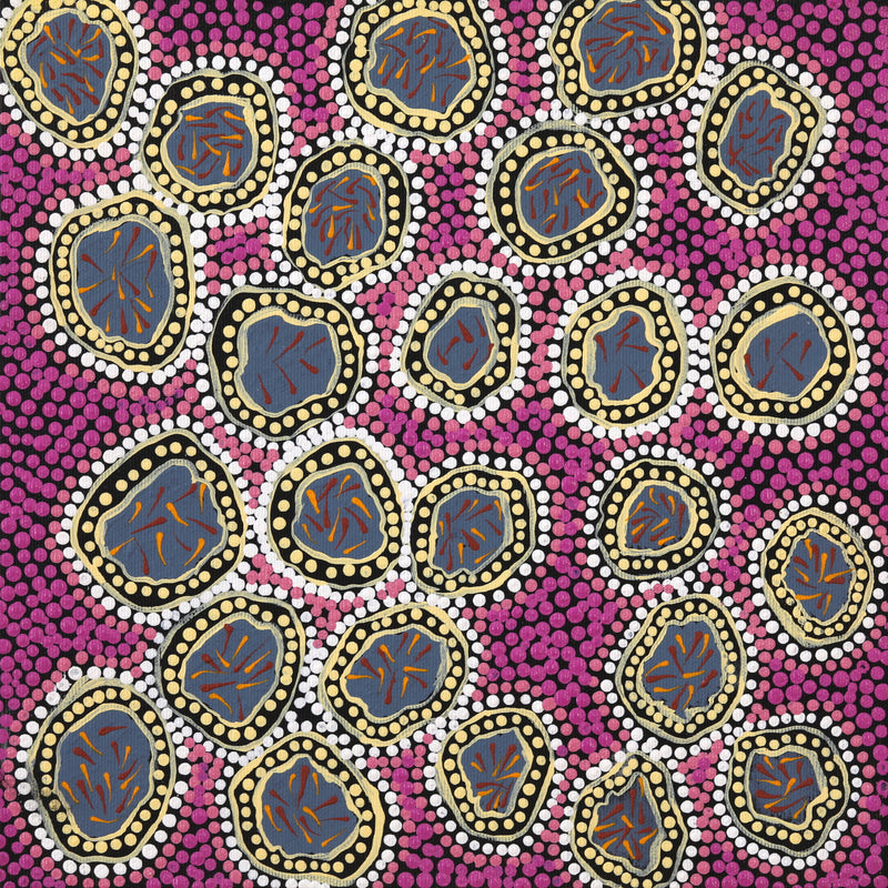 Aboriginal Artwork by Jean Napanangka Brown, Wardapi Jukurrpa (Goanna Dreaming) - Yarripilangu, 30x30cm