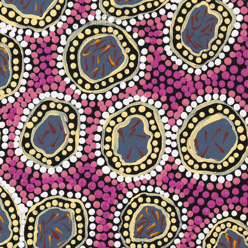 Aboriginal Artwork by Jean Napanangka Brown, Wardapi Jukurrpa (Goanna Dreaming) - Yarripilangu, 30x30cm