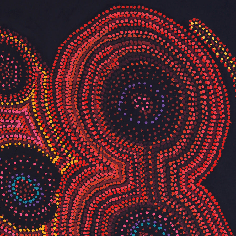 Aboriginal Artwork by Jeani Napangardi Lewis, Mina Mina Jukurrpa - Ngalyipi, 122x107cm