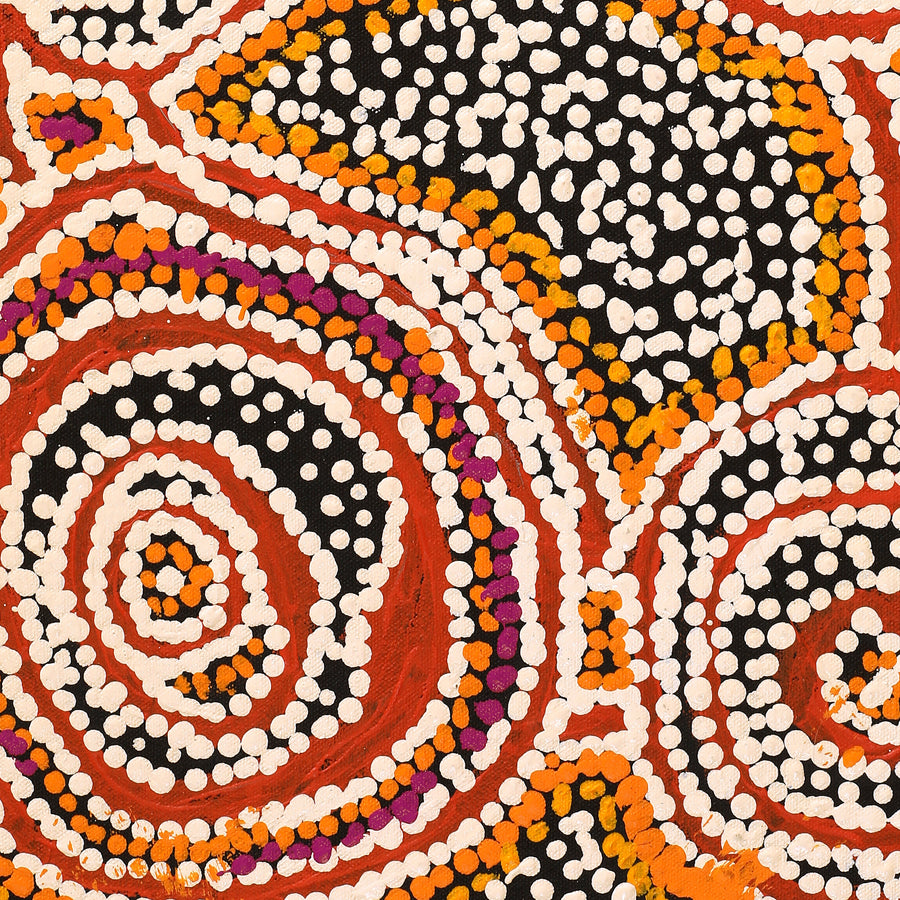 Aboriginal Artwork by Jeani Napangardi Lewis, Mina Mina Jukurrpa, 61x30cm