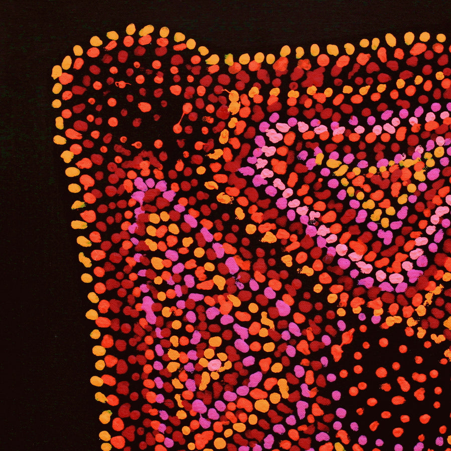 Aboriginal Artwork by Jeani Napangardi Lewis, Mina Mina Jukurrpa - Ngalyipi, 46x46cm