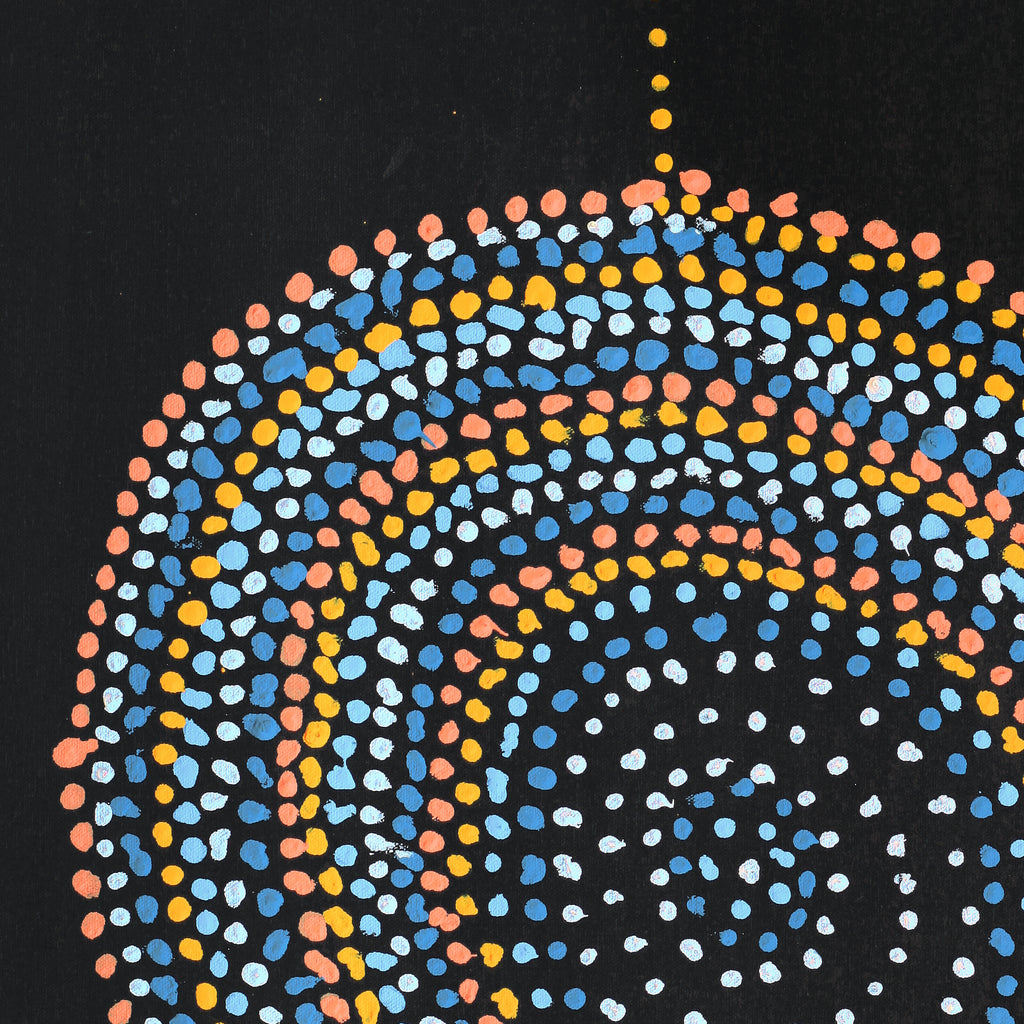 Aboriginal Artwork by Jeani Napangardi Lewis, Mina Mina Jukurrpa - Ngalyipi, 61x46cm