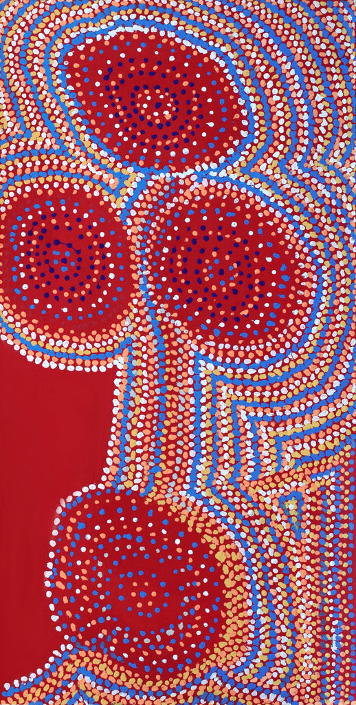 Aboriginal Artwork by Jeani Napangardi Lewis, Mina Mina Jukurrpa - Ngalyipi, 91x46cm