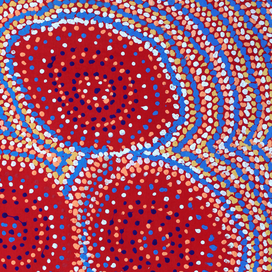 Aboriginal Artwork by Jeani Napangardi Lewis, Mina Mina Jukurrpa - Ngalyipi, 91x46cm