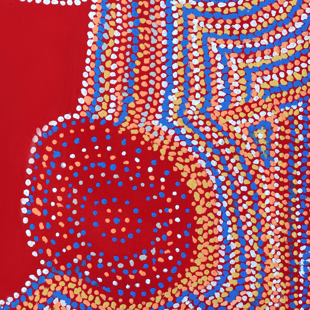 Aboriginal Artwork by Jeani Napangardi Lewis, Mina Mina Jukurrpa - Ngalyipi, 91x46cm