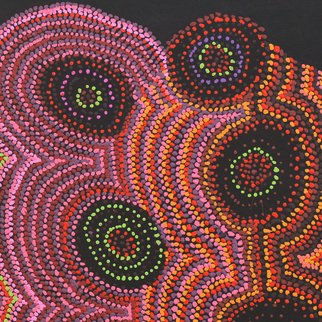 Aboriginal Artwork by Jeani Napangardi Lewis, Mina Mina Jukurrpa - Ngalyipi, 91x76cm