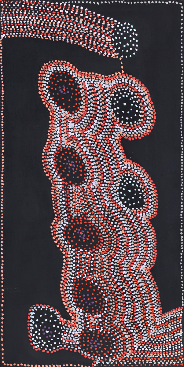 Aboriginal Art by Jeani Napangardi Lewis, Mina Mina Jukurrpa - Ngalyipi, 122x61cm - ART ARK®